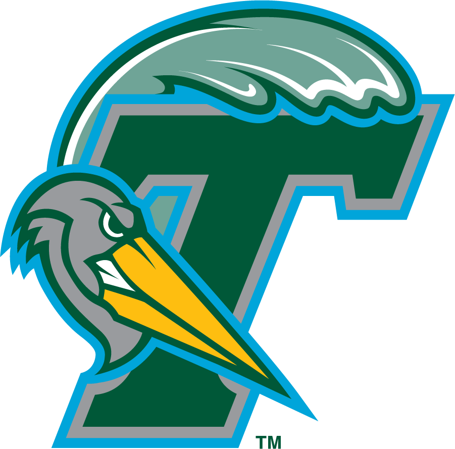 Tulane Green Wave 1998-2005 Secondary Logo diy iron on heat transfer